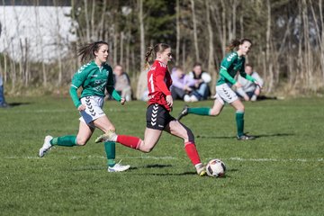 Bild 325 - F SG NieBar - IF Stjernen Flensborg : Ergebnis: 4:1
